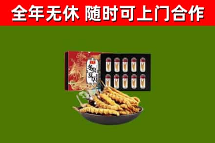 彭州烟酒回收冬虫夏草礼盒.jpg